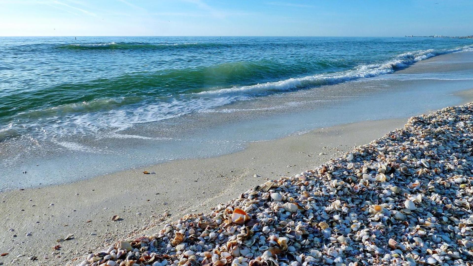 Sand Castle1 804 Clearwater Beach Dış mekan fotoğraf